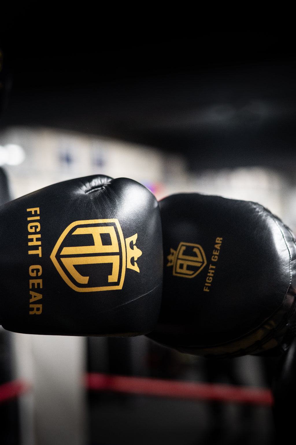 Black boxing gloves with gold logos and 'Fight Gear' text on a blurred background