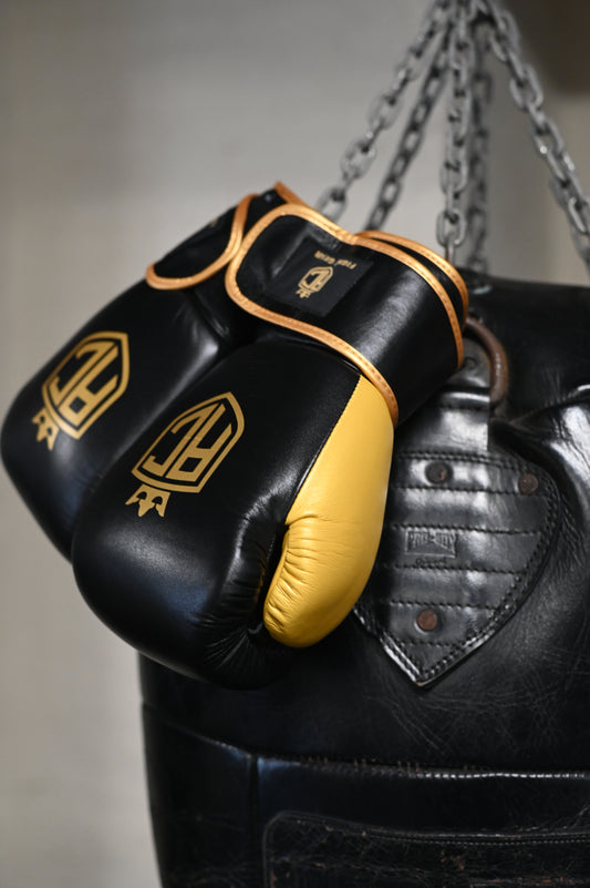 AC Signature Boxing Gloves in black and gold