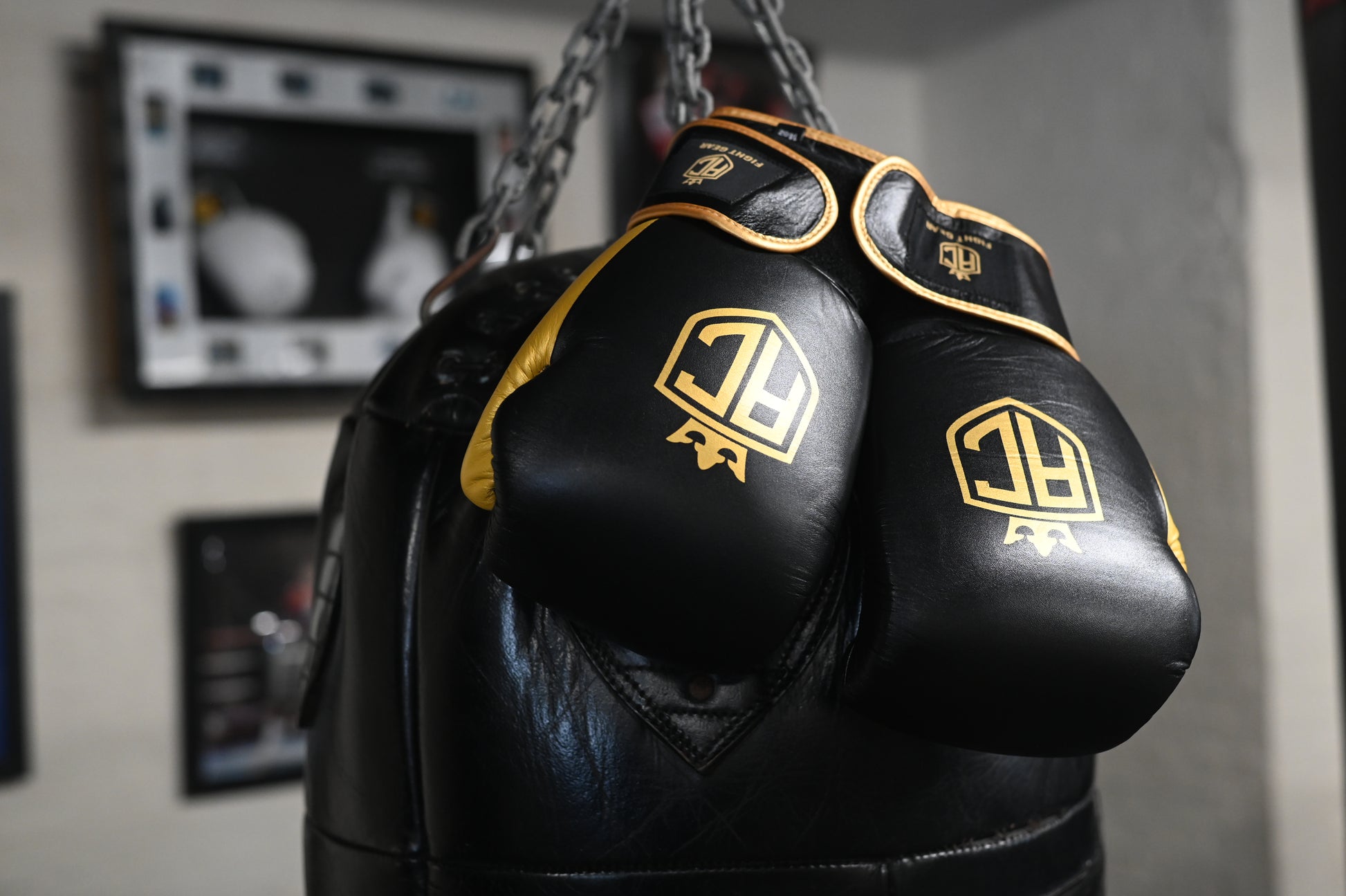 AC Signature Boxing Gloves pair on display