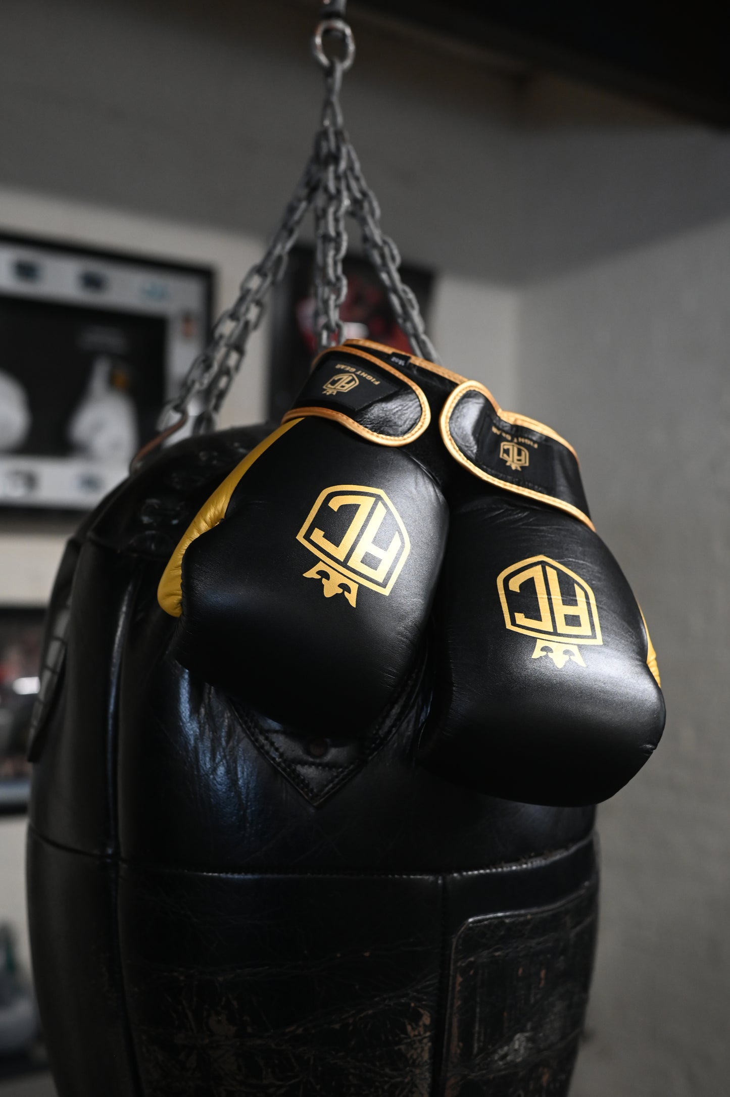 AC Signature Boxing Gloves close up of AC crest logo