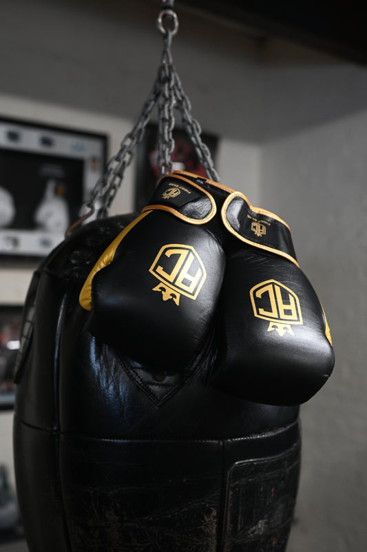 AC Signature Boxing Gloves close up of AC crest logo